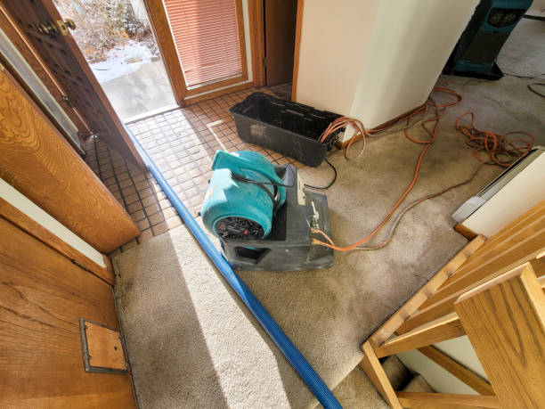 Best Water damage restoration near me  in Stewartville, MN