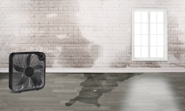 Reliable MN Water damage restoration Solutions