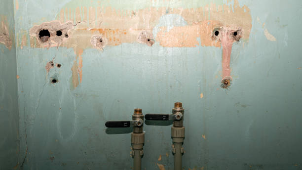 Best Emergency water extraction  in Stewartville, MN