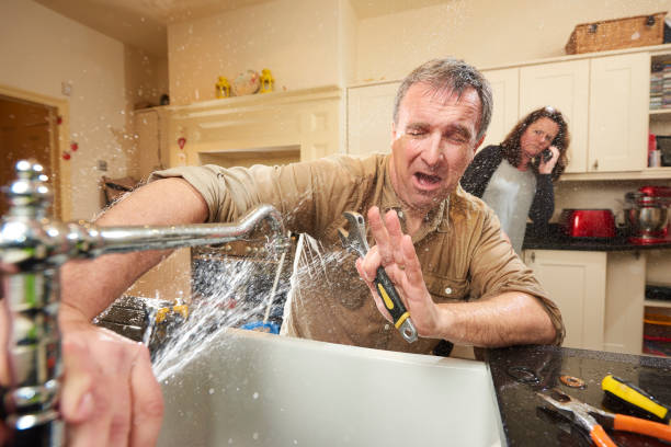 Best Residential water damage restoration  in Stewartville, MN